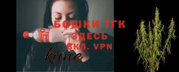 ешки Аркадак