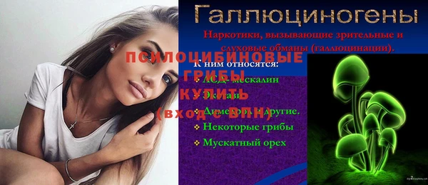 ешки Аркадак
